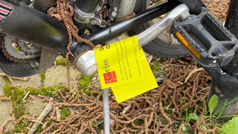 Giessen: Was passiert mit herrenlosen Fahrrädern? herrenlose-fahrräder-giessen