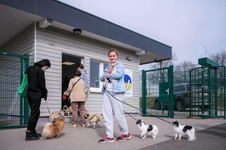tierarzt-ukraine-giessen