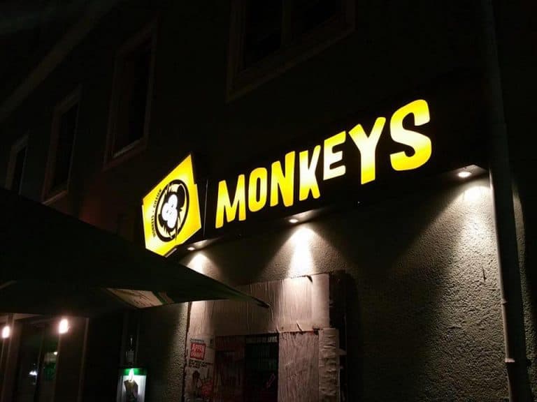 409-monkeys-giessen